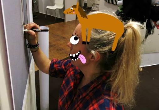 sandrine estrade boulet